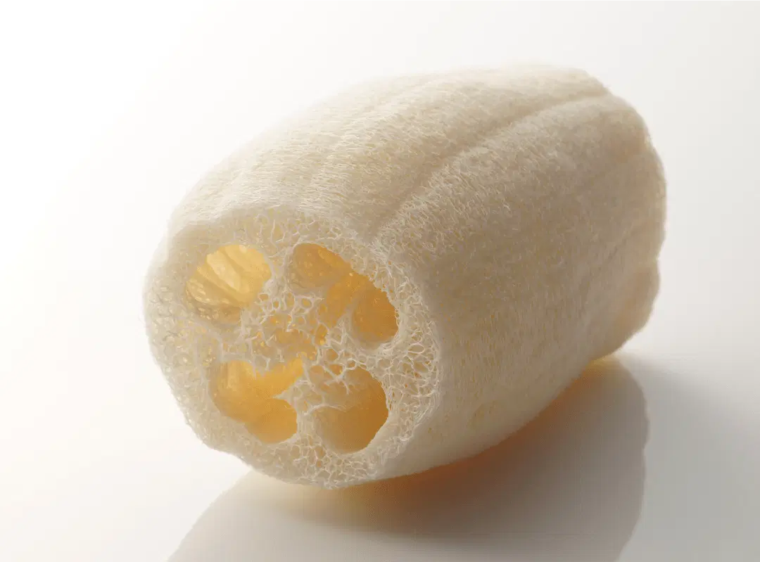 A natural loofah
