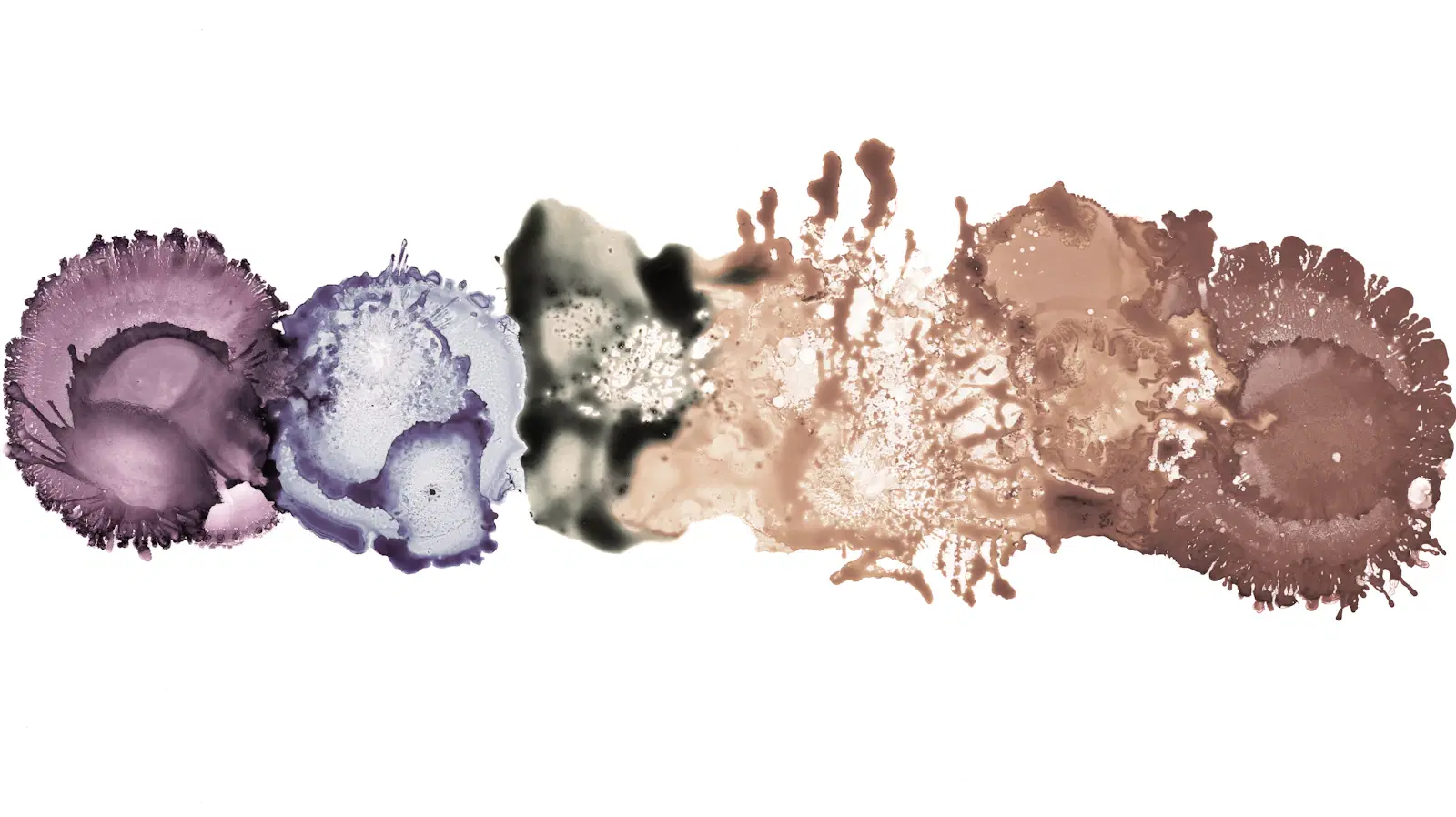 A row of blotted color swatches shading from purple through beige to brown