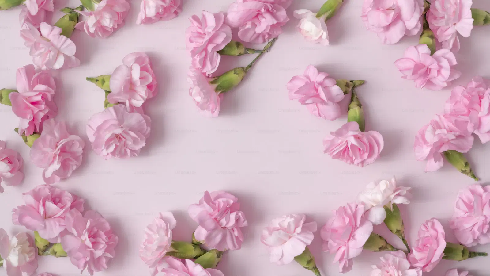 Femboy Friday mirror selfie setup — phone held at chest height, full body visible, natural window light on the subject