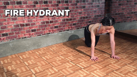 Animated demo of a fire hydrant exercise — on hands and knees, lift one leg to the side keeping the knee bent at 90 degrees